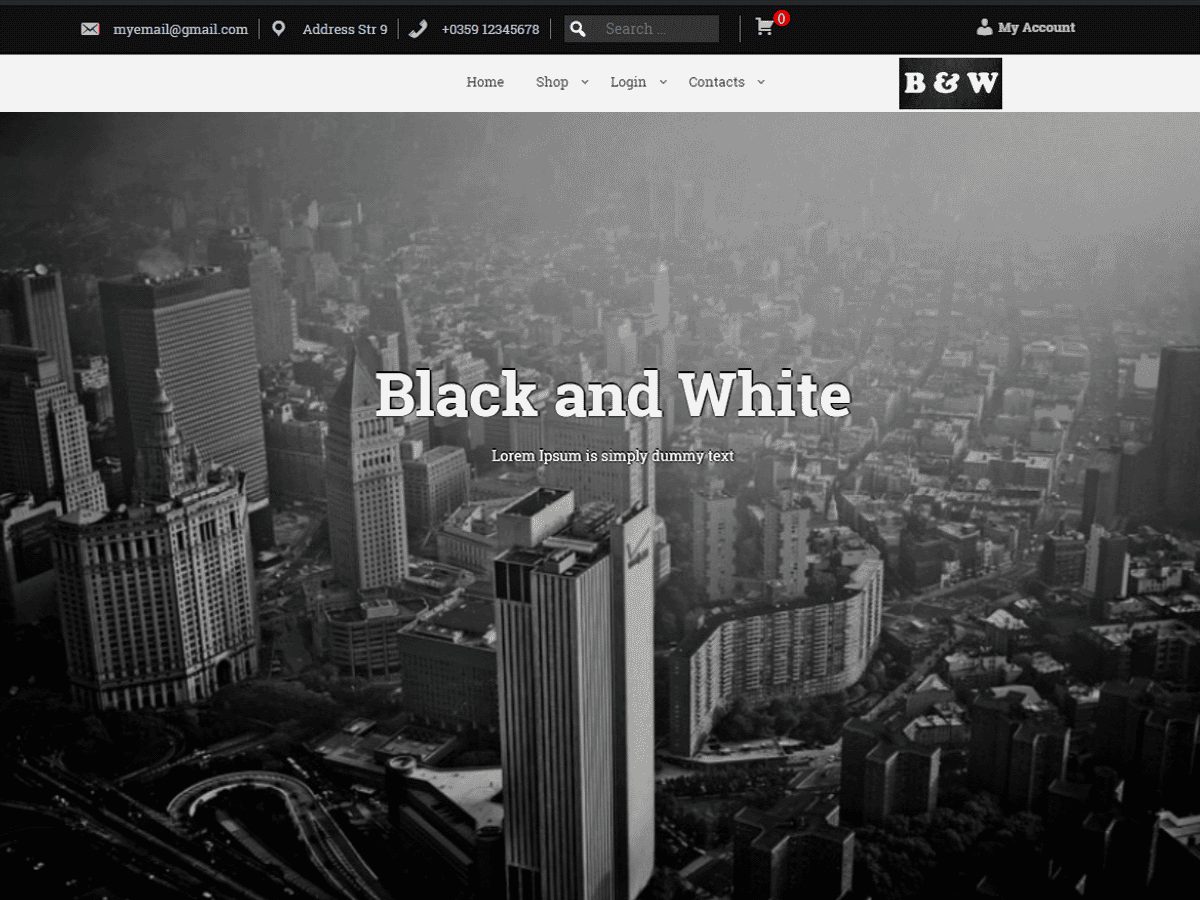 blackandwhite Dessign Themes Premium WordPress Themes for Creatives