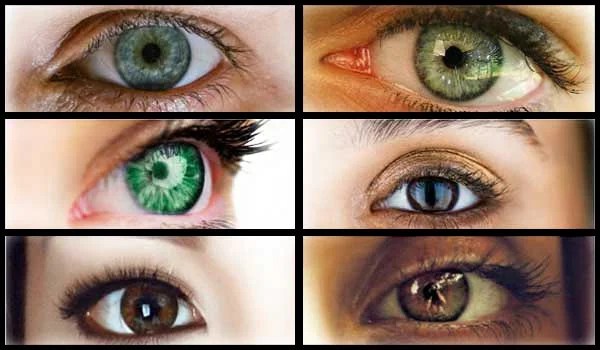 Las 10 enfermedades oculares más comunes (causas y.