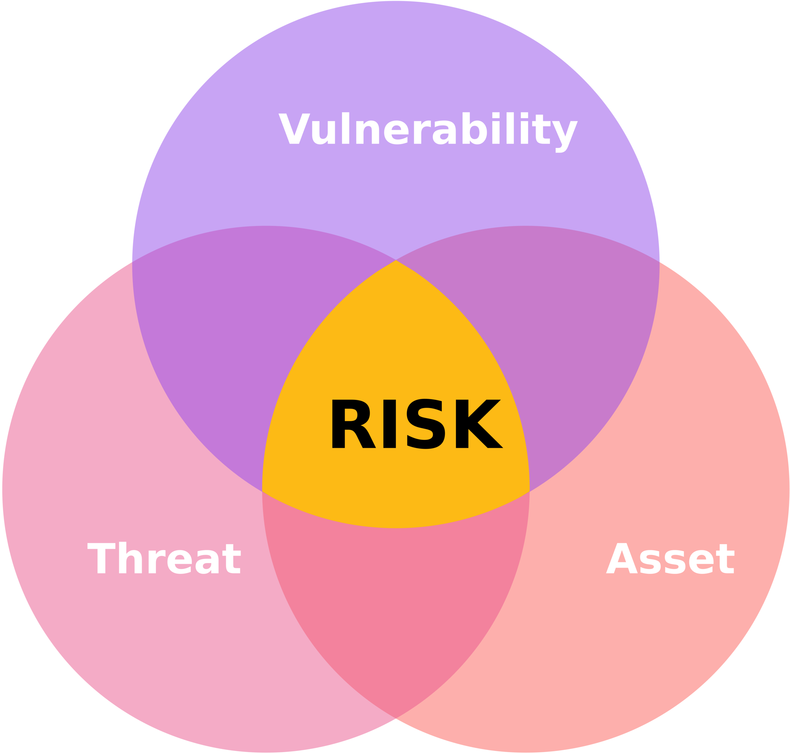 CISSP Domain 1 Security and Risk Management DestCert