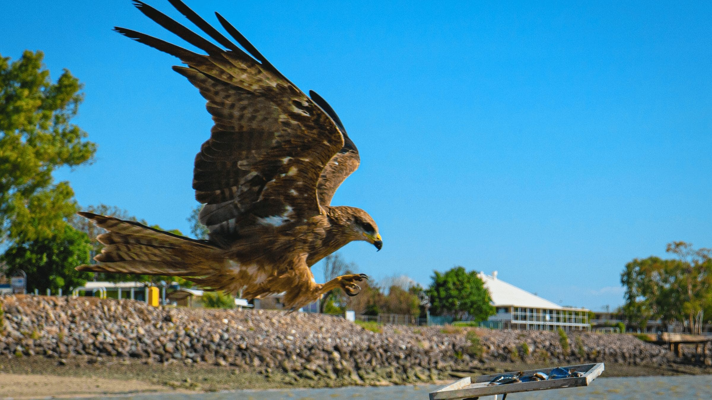 Karumba Fishing and amazing water sunsets Destination4WD