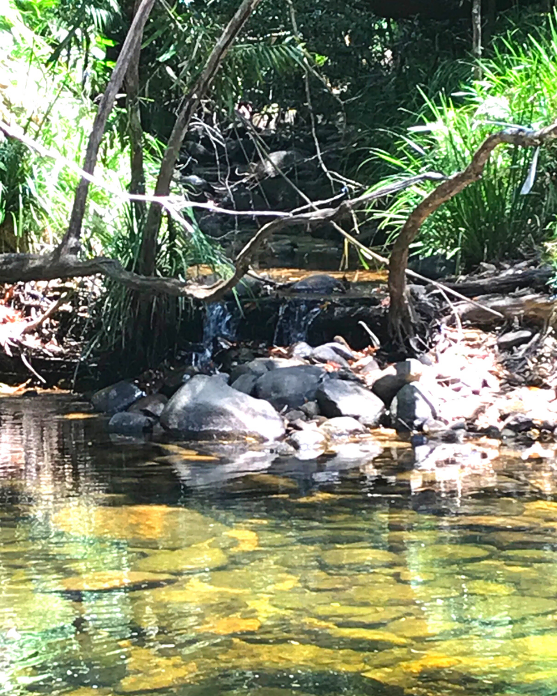 CREB Track for advanced 4WDers only! Destination4WD