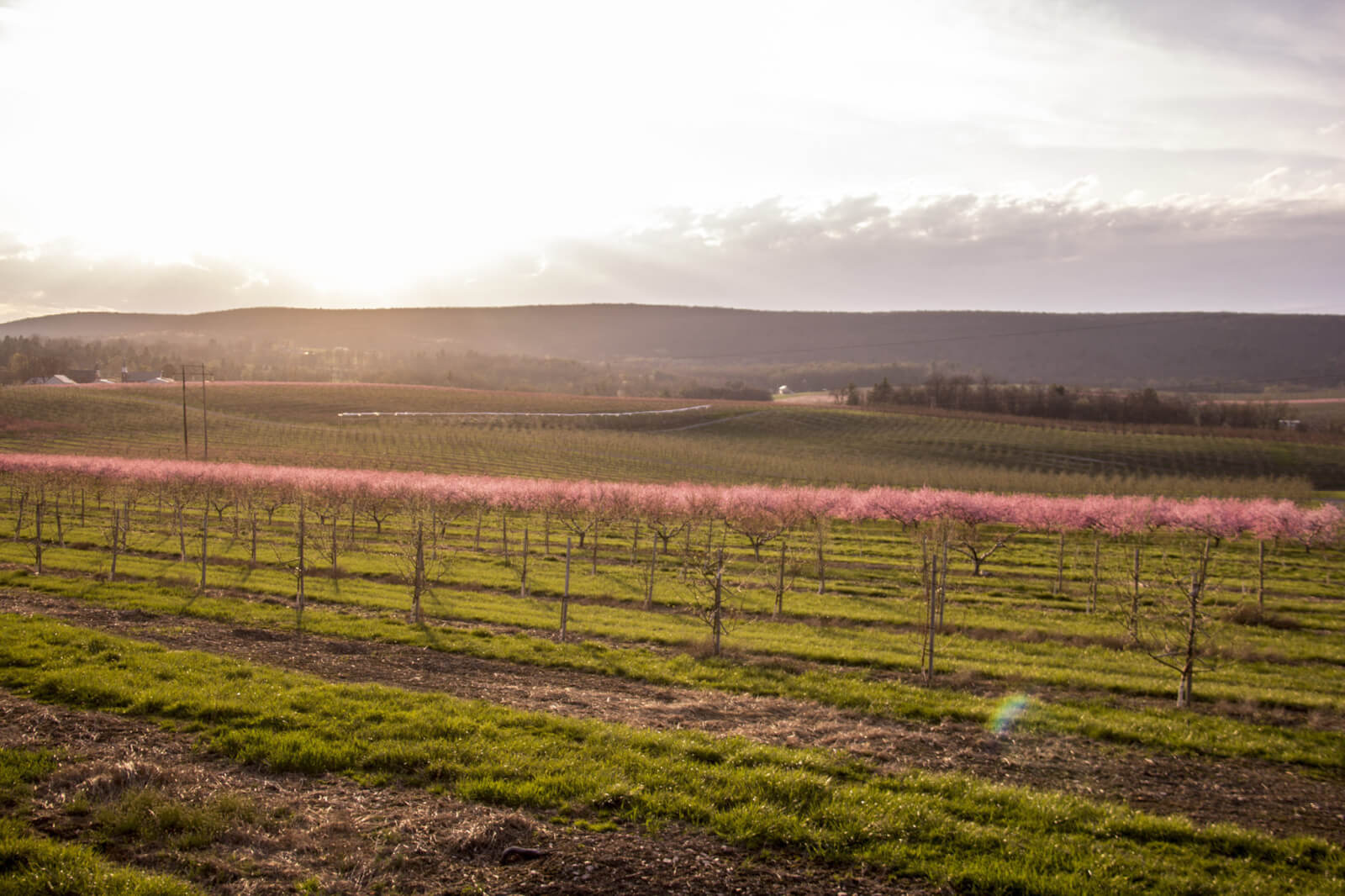 gettysburg spring muster 2023 11 Experiences To Have This Spring In Gettysburg Destination Gettysburg