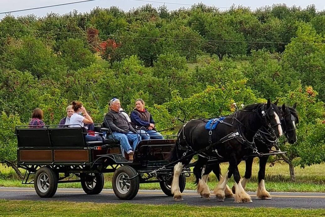 All Attractions & Things To Do in Gettysburg, PA