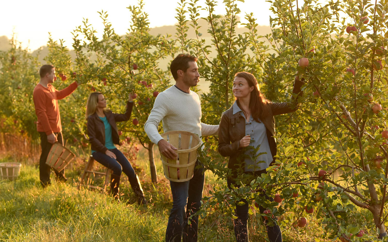 Take A Trip Exploring Adams County, PA, Farm Country