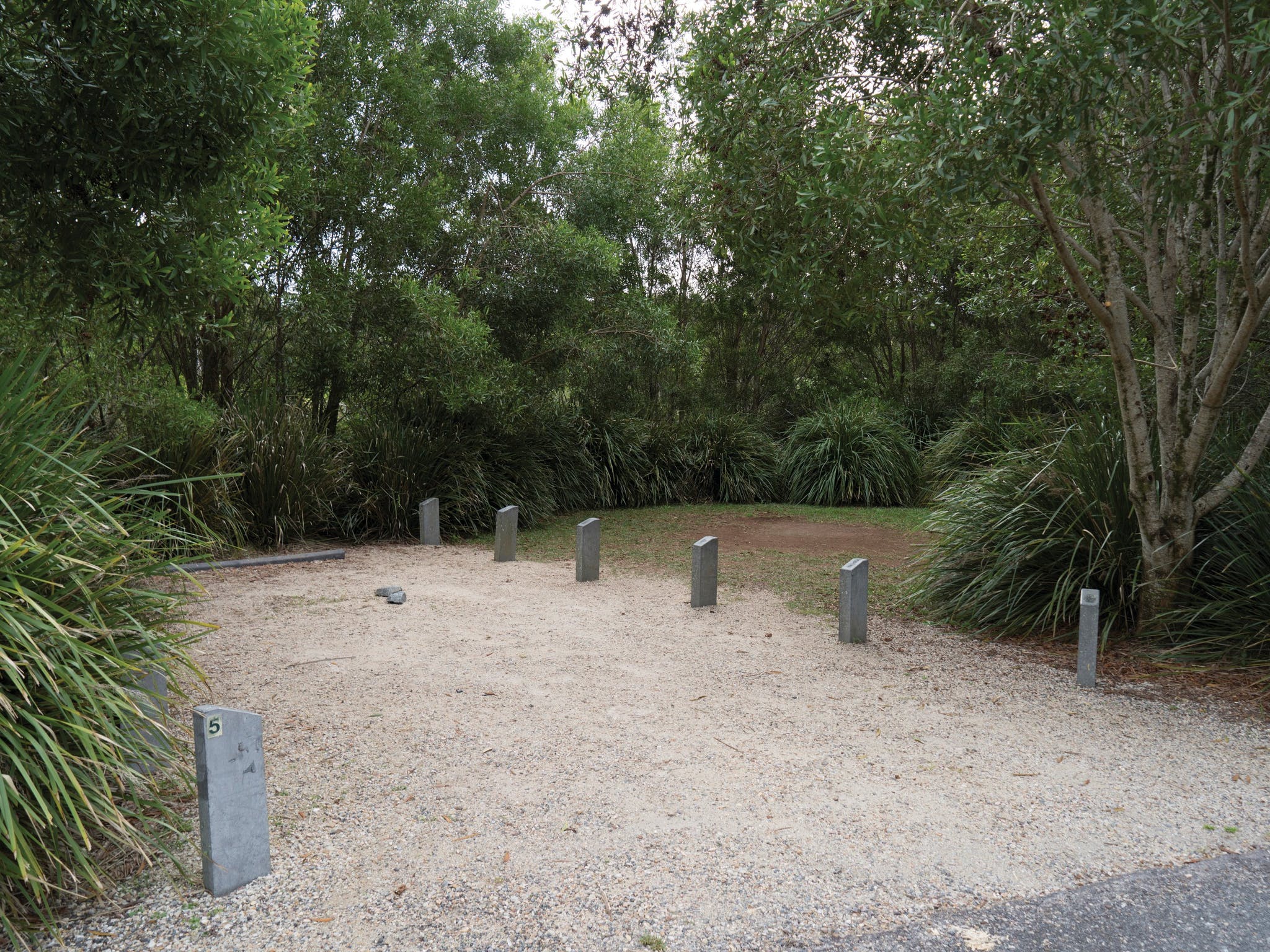 Springbrook National Park camping Destination Gold Coast