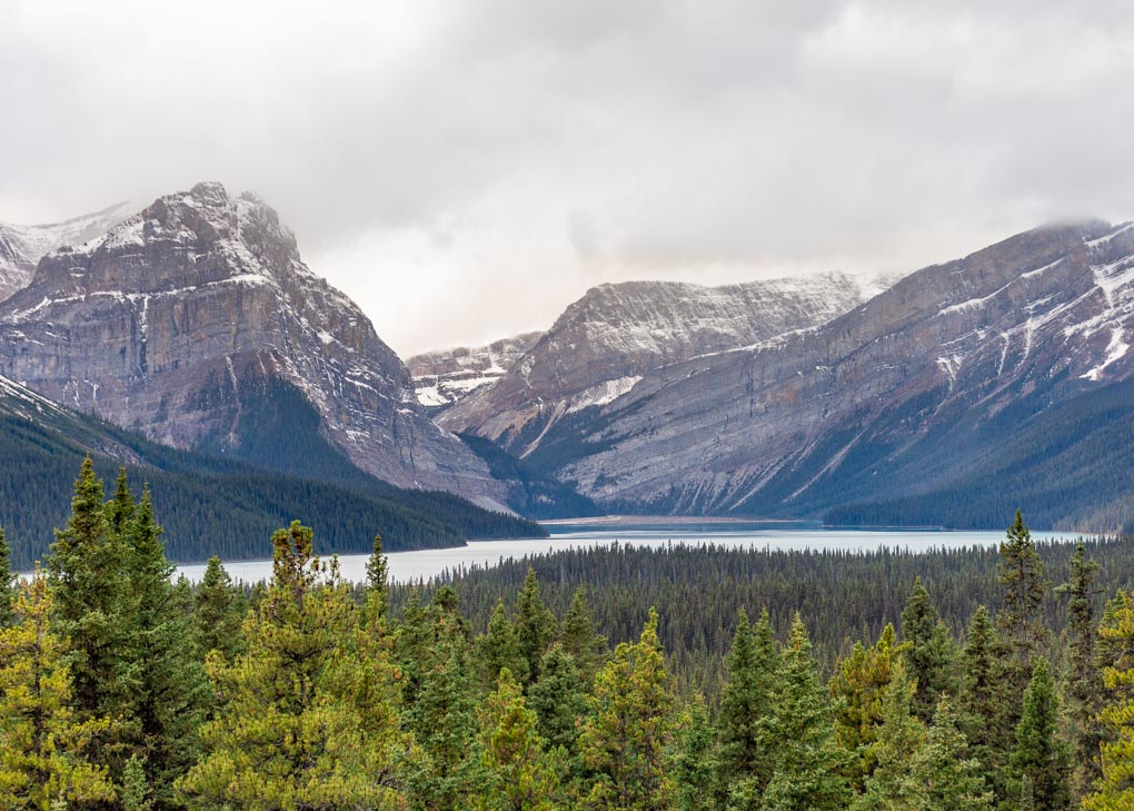 1Day Icefields Parkway Itinerary 15 BEST Stops for the Drive in One Day
