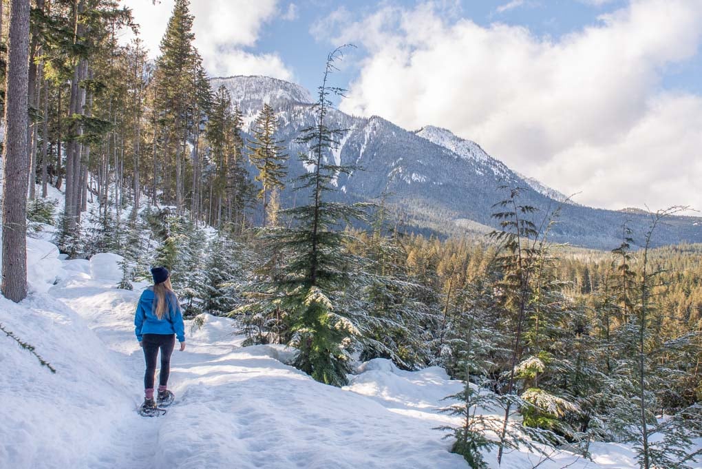 21 Awesome Things to do in Revelstoke, BC (Mustdo Activities!)