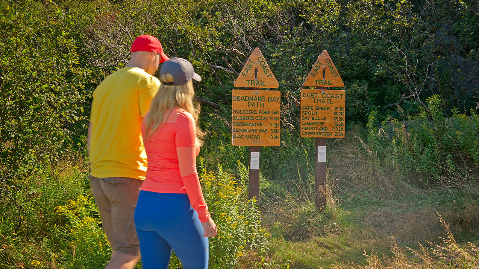 6 Hiking TrailsYou Can Hit from your Hotel Destination St. John's