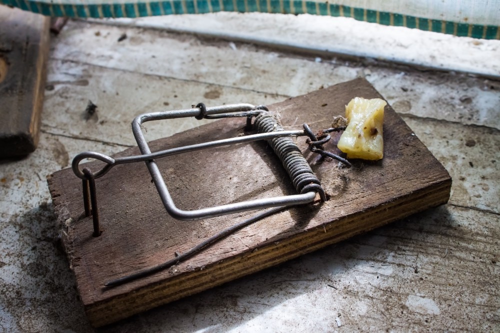 Destinations: Beware the better mousetrap fallacy - Destination Think!