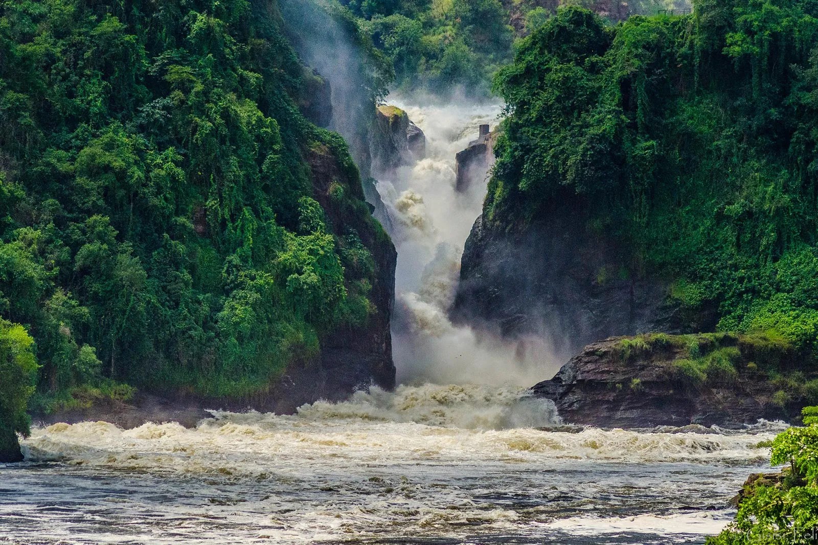 Murchison Falls National Park • Top Uganda Safari Destinations