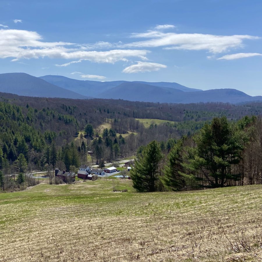 Stephanie Boyd Destination Williamstown