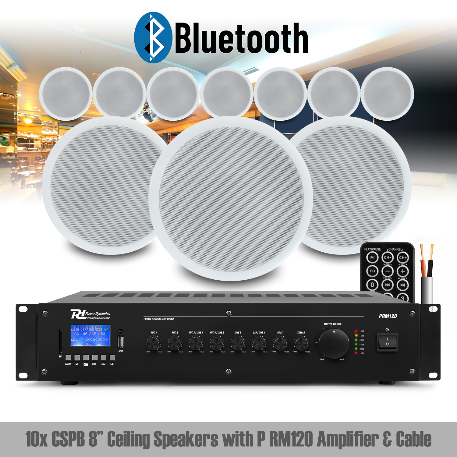 Ceiling Speaker Sound System Installation 100V Line Restaurant Shop Pub