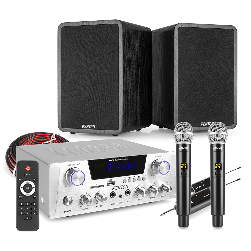 Fenton AV430A Home Karaoke Setup with Dual Wireless Mics