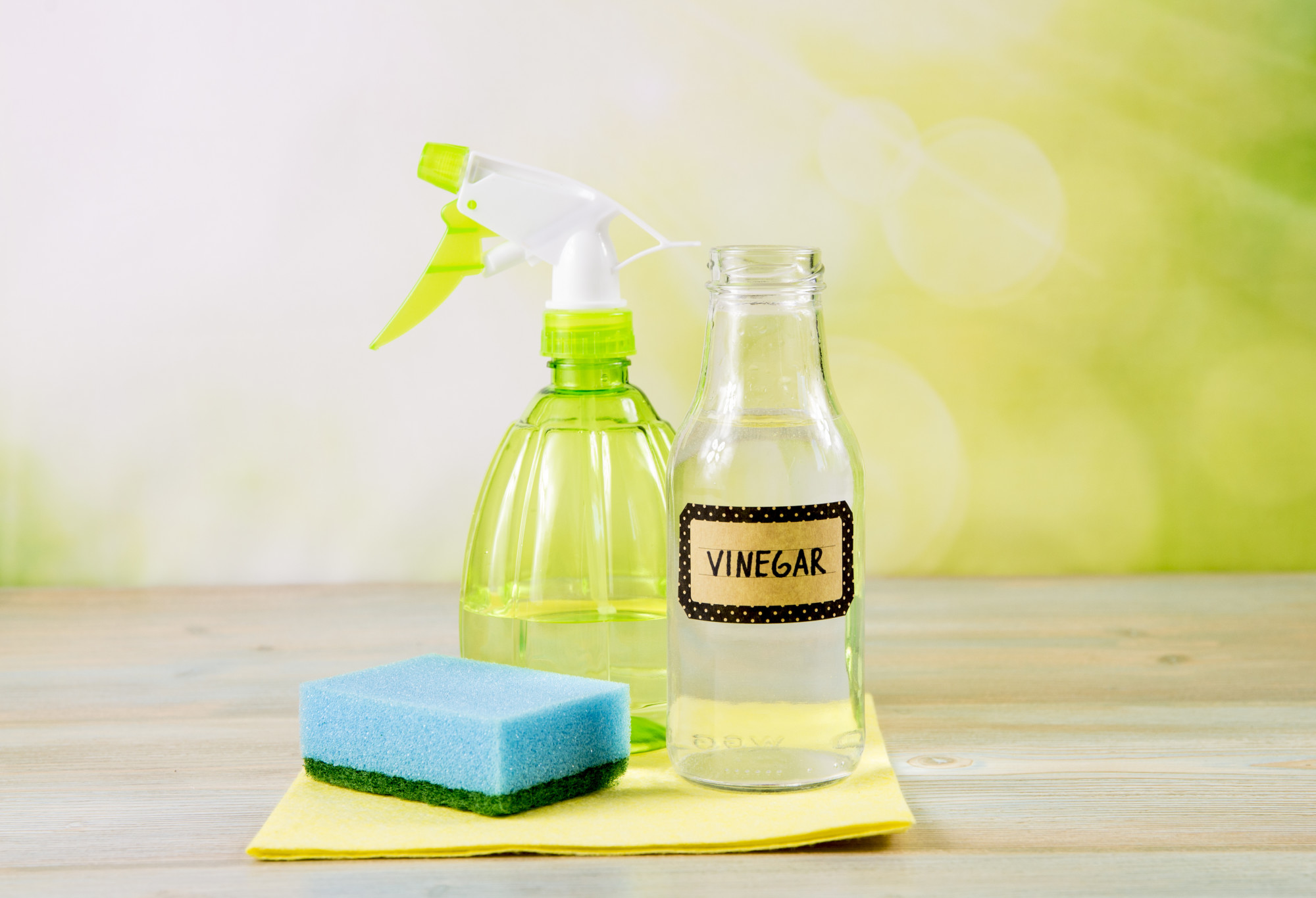 Green Home Cleaning How to Clean Your Home Using Items From Your Pant