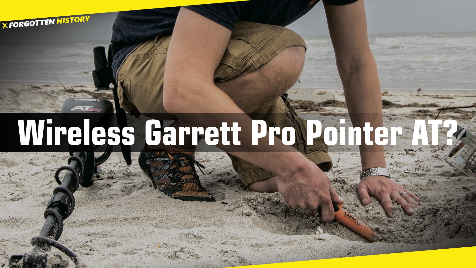 New Garrett ProPointer AT ZLynk Review 2018 DetectHistory