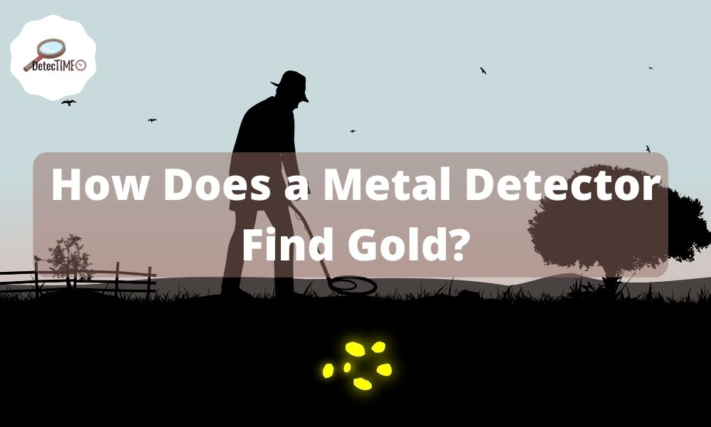 How Does a Metal Detector Find Gold? DetecTime