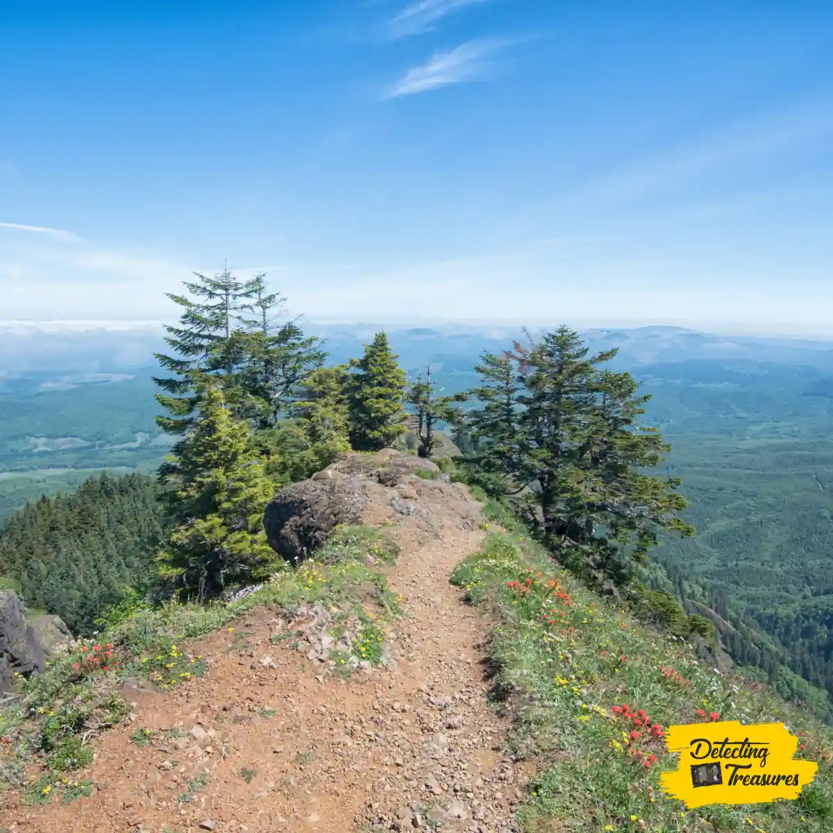 10 Best Places to Find Diamonds While Metal Detecting