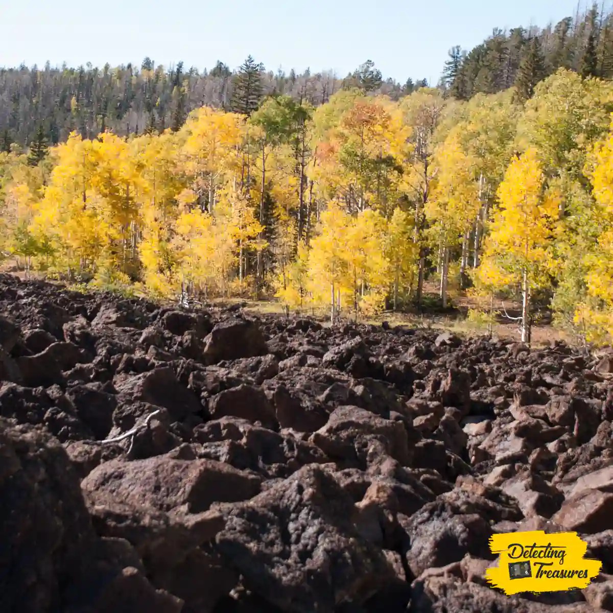 10 Best Places to Find Diamonds While Metal Detecting