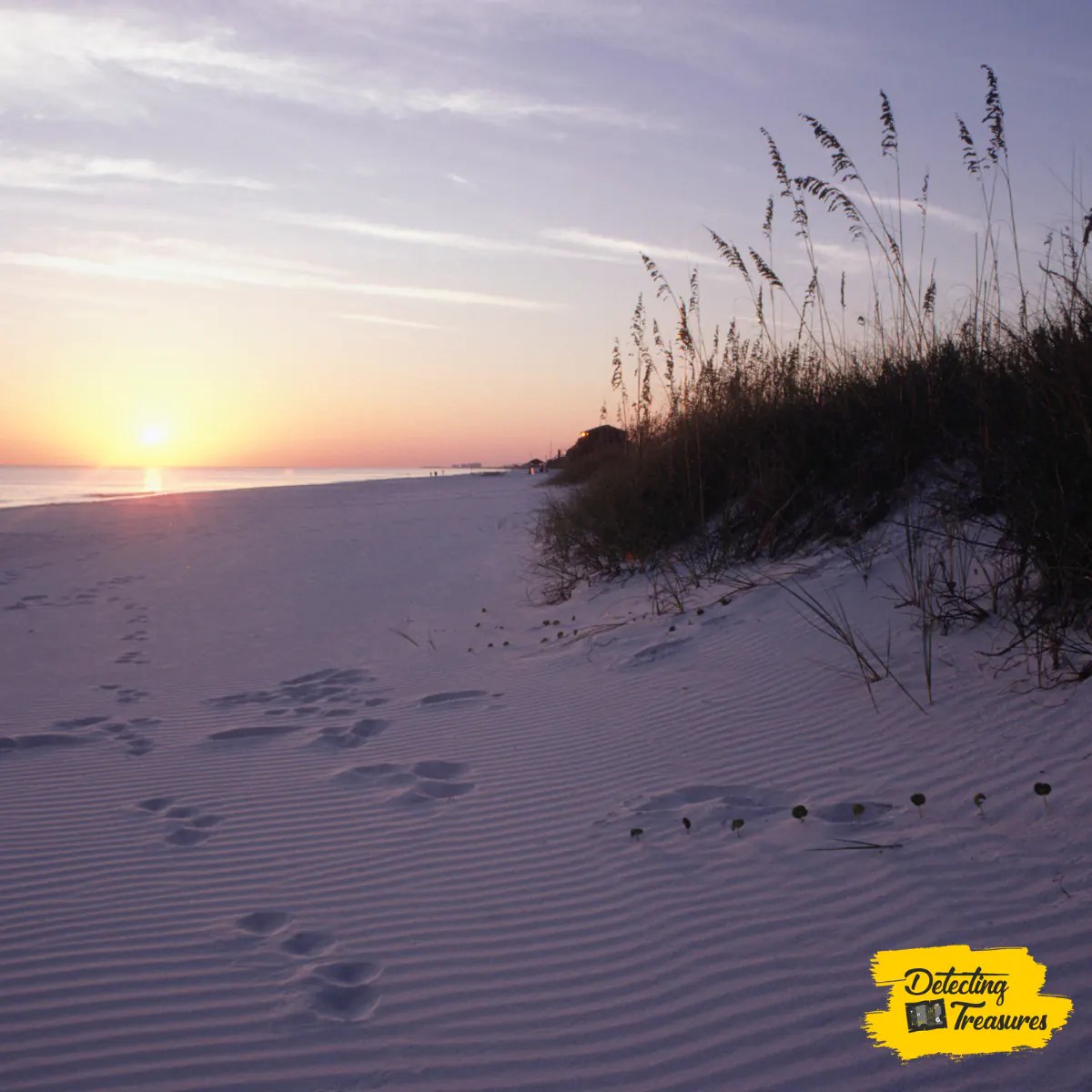 17 Best Beaches in Florida to Metal Detect in 2023