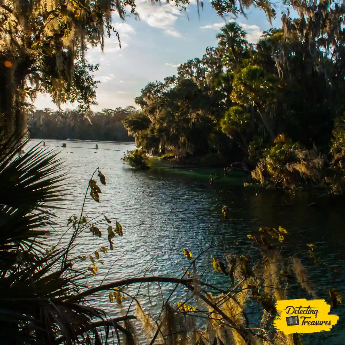 6 Best Metal Detecting Finds in Florida (2024 List!)