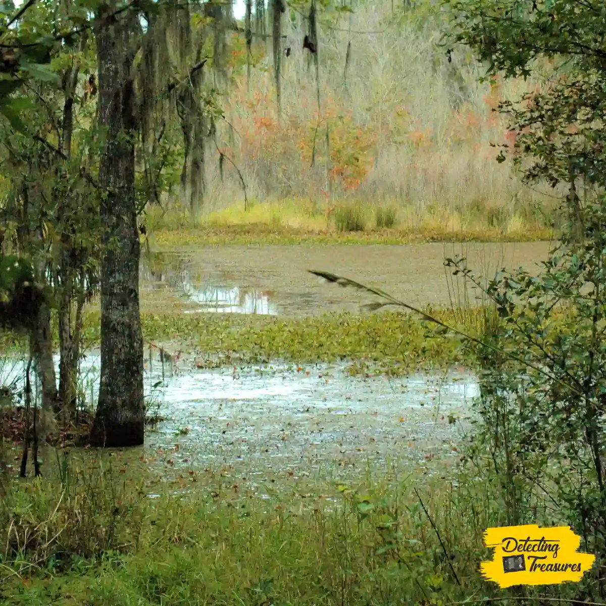 6 Best Metal Detecting Finds in Florida (2024 List!)