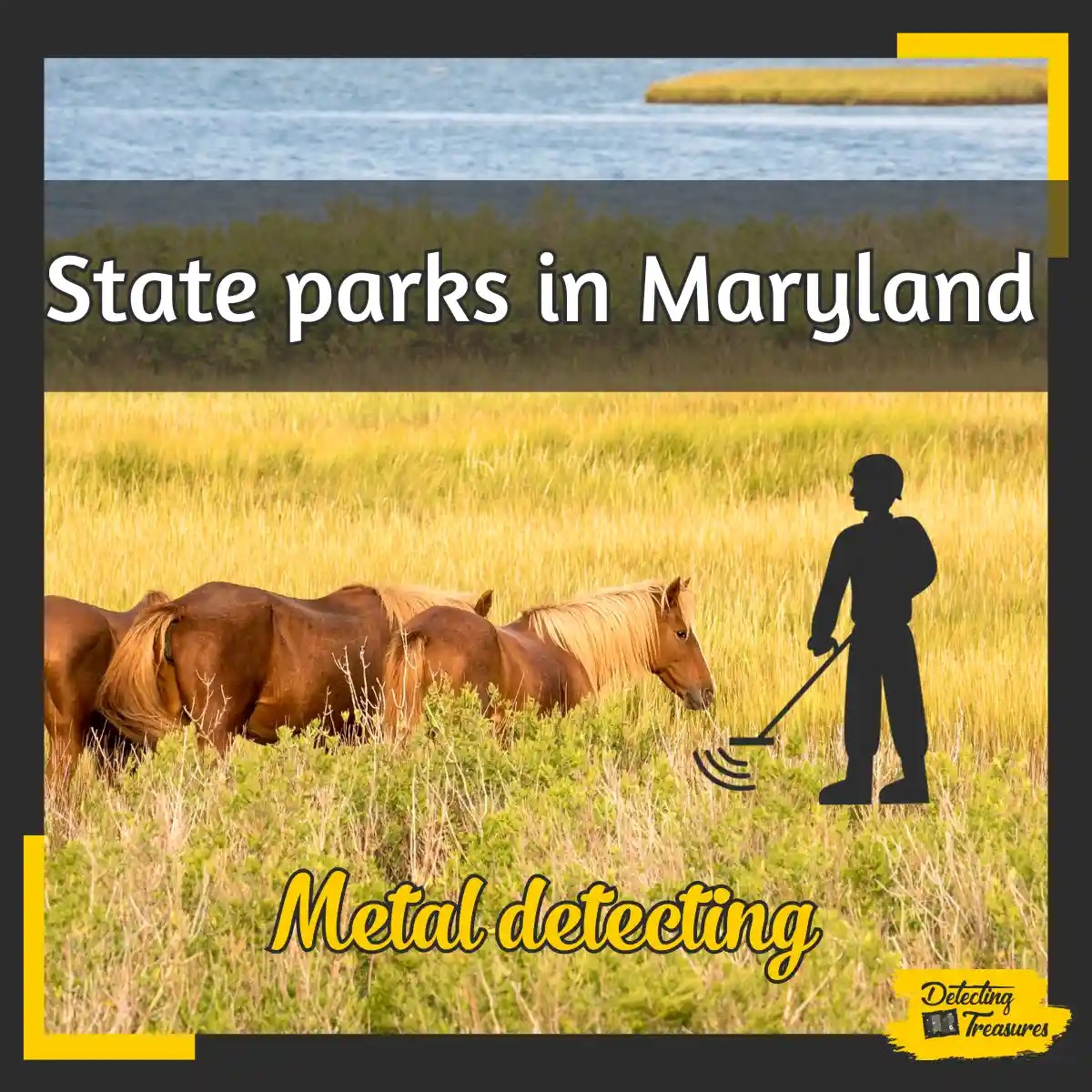 5 Best State Parks in Maryland to Metal Detect (2024)