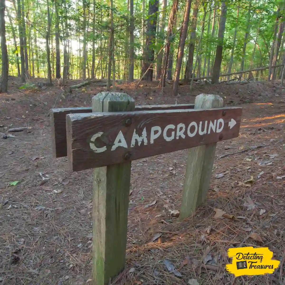 5 Best Metal Detecting Finds in Alabama (2024 List!)