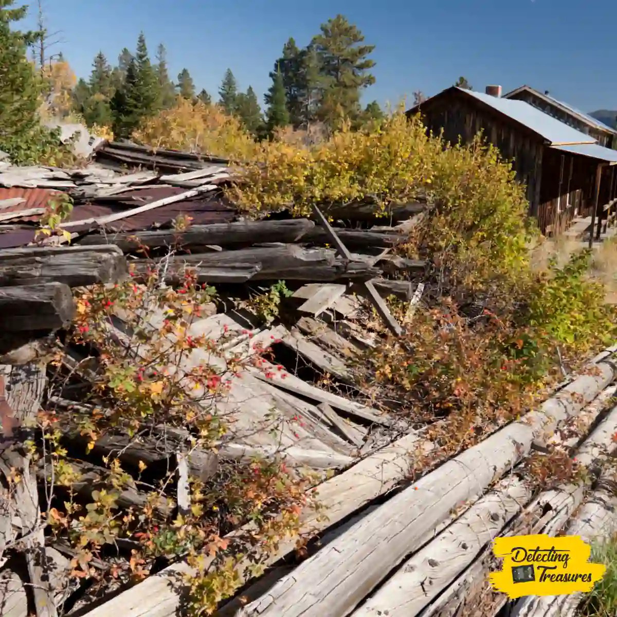 10 Best Ghost Towns in Colorado to Metal Detect (2024)