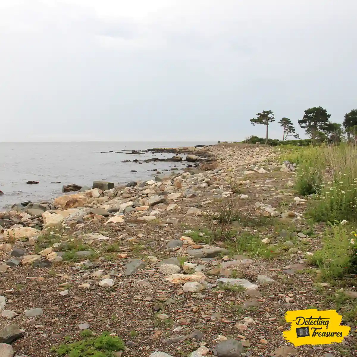 7 Best Metal Detecting Finds in New Hampshire (2024 List)