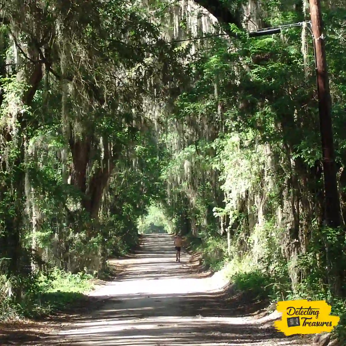 12 Best Places to Metal Detect in Florida (+ Map) 2024