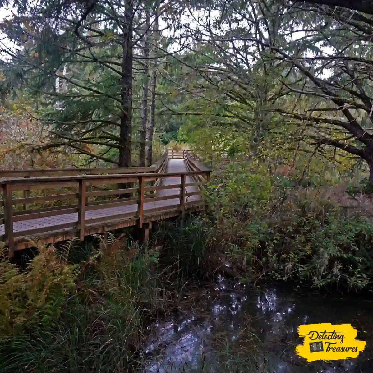 13 Best State Parks in Missouri to Metal Detect (2024)