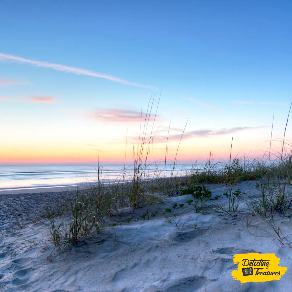 12 Best Places to Metal Detect in Florida (+ Map) 2023