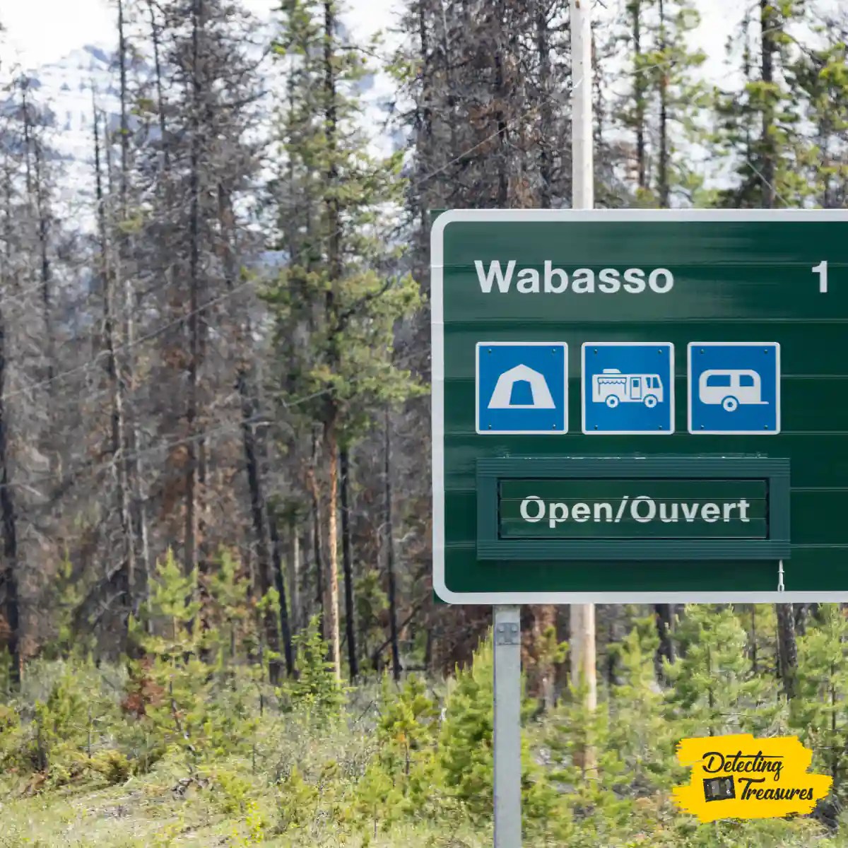 12 Best Places to Metal Detect in Florida (+ Map) 2023