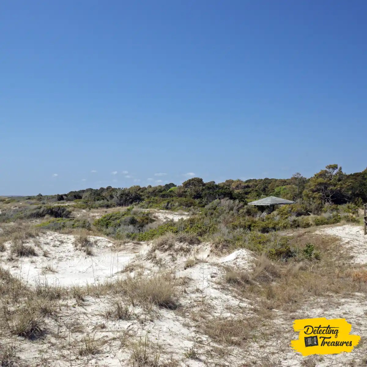 15 Best Places to Metal Detect in (+ Map) 2024