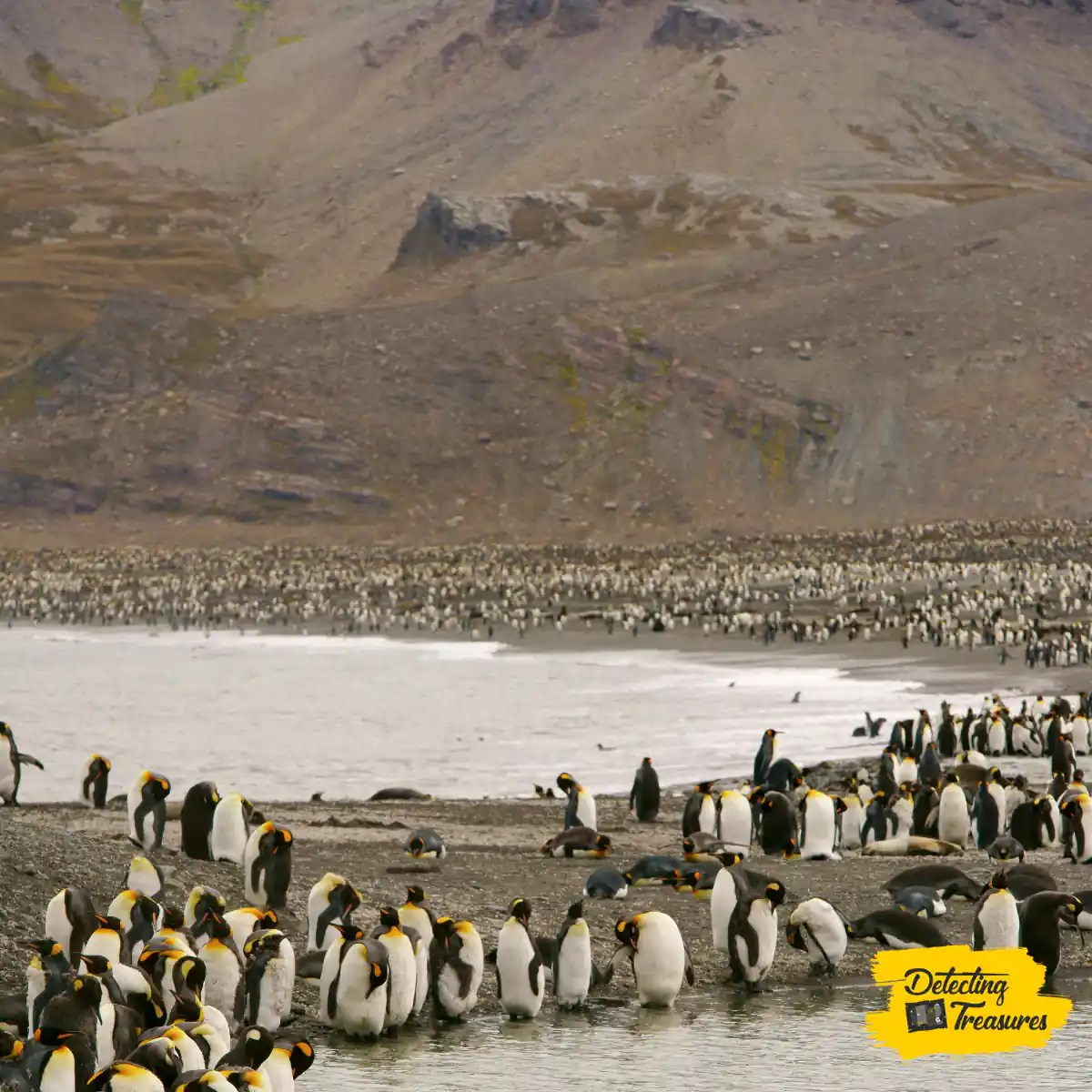 15 Best Places to Metal Detect in (+ Map) 2024