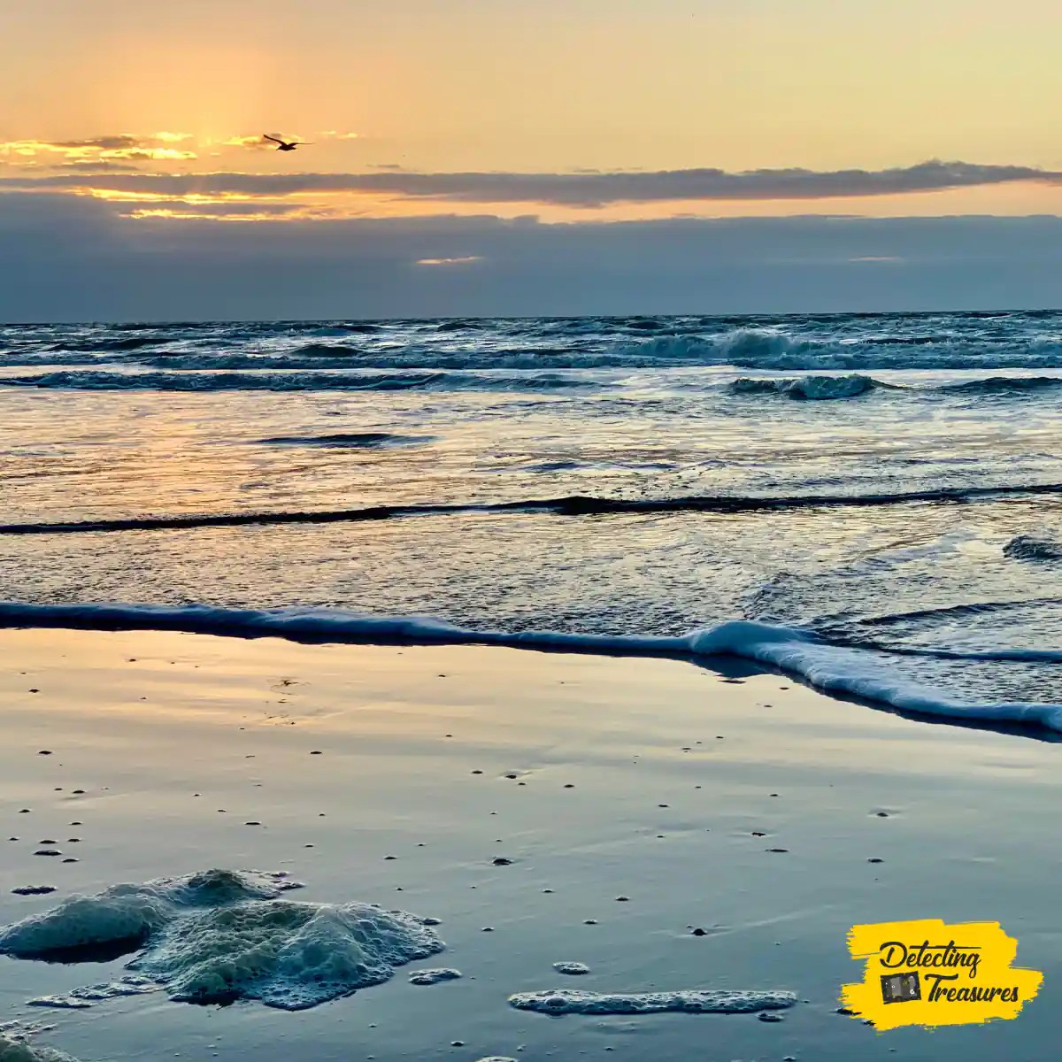 15 Best Places to Metal Detect in Texas (+ Map) 2024