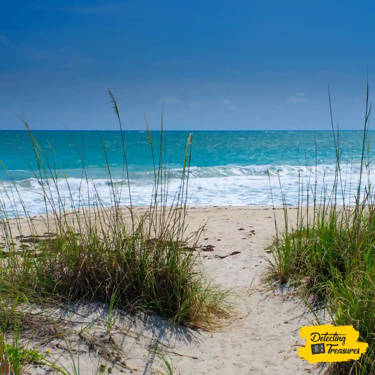 12 Best Places to Metal Detect in Florida (+ Map) 2023