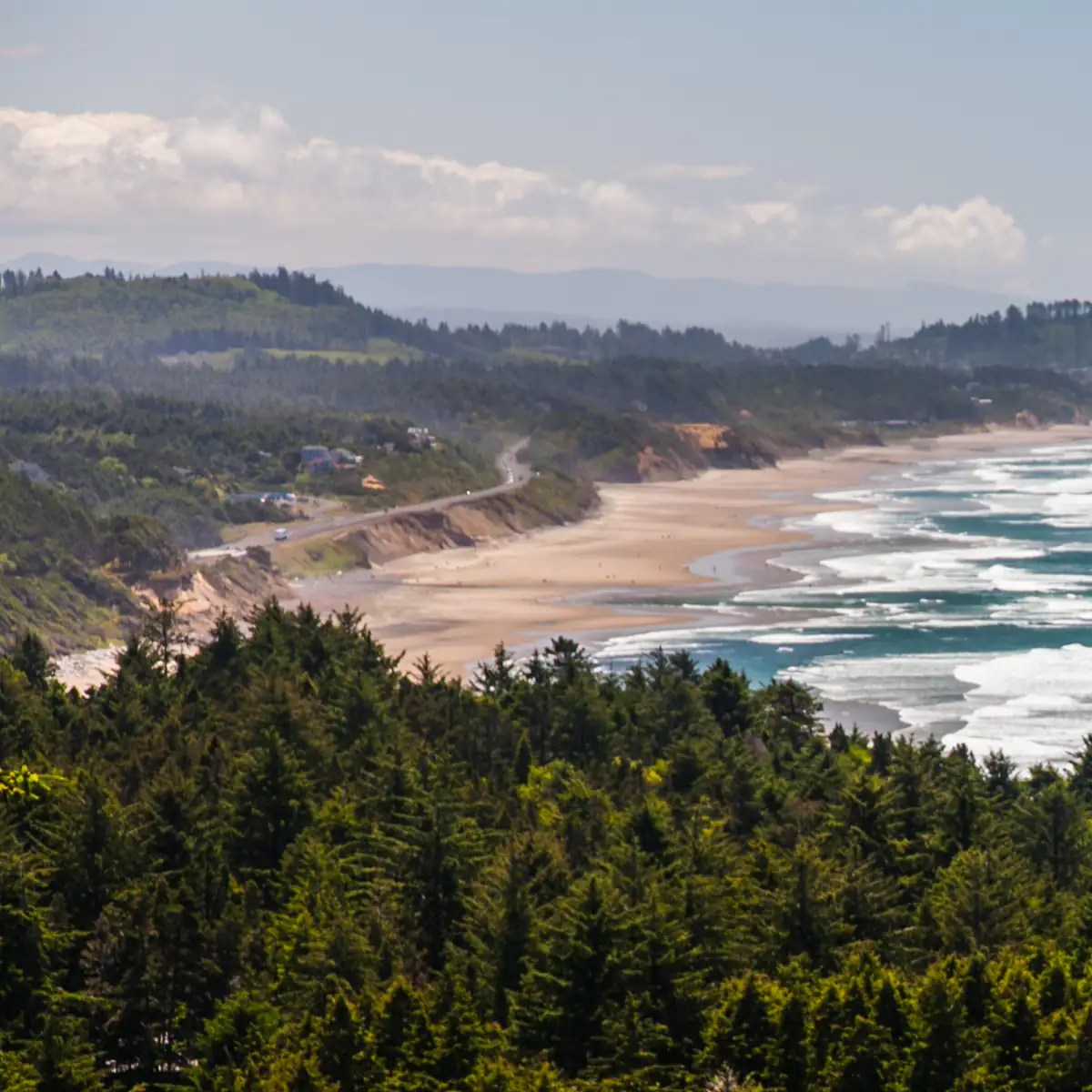 10 Best Places to Metal Detect in Washington (+ Map) 2024