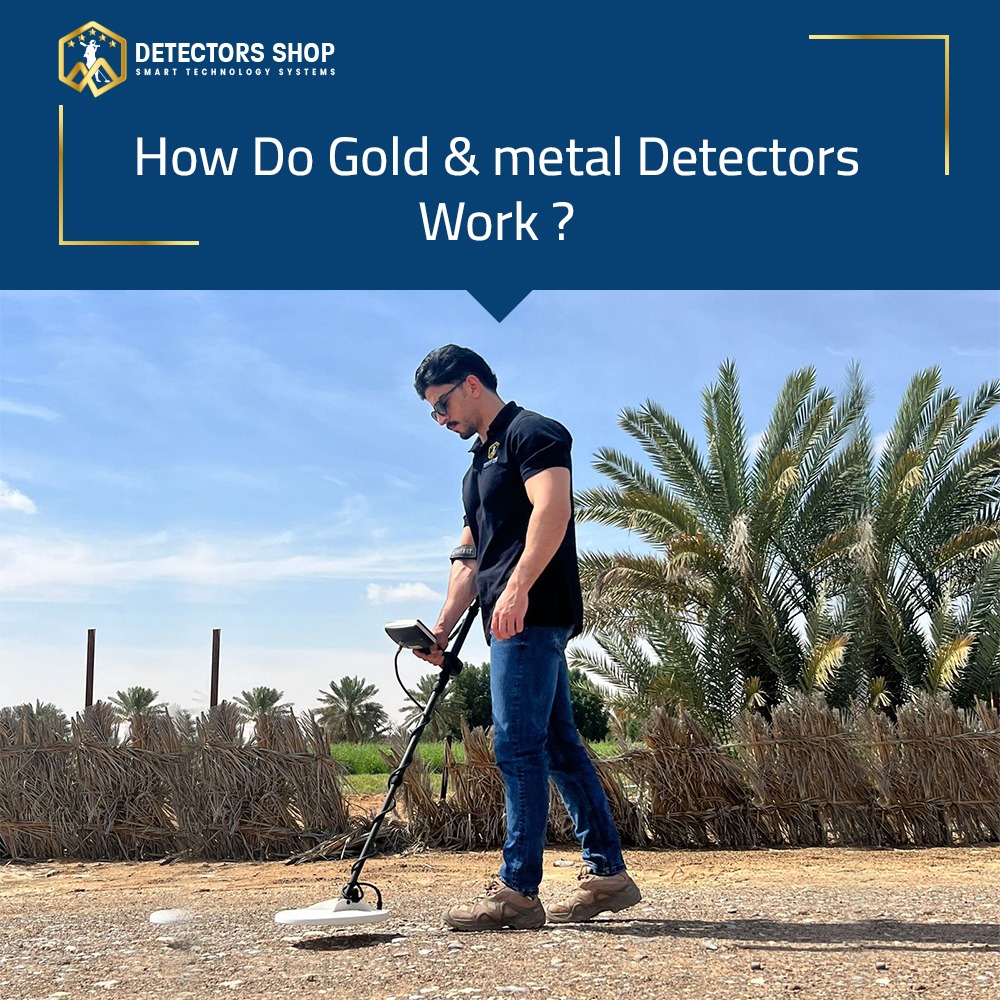 Gold Detectors Powerful Metal Detectors & Best Detectors