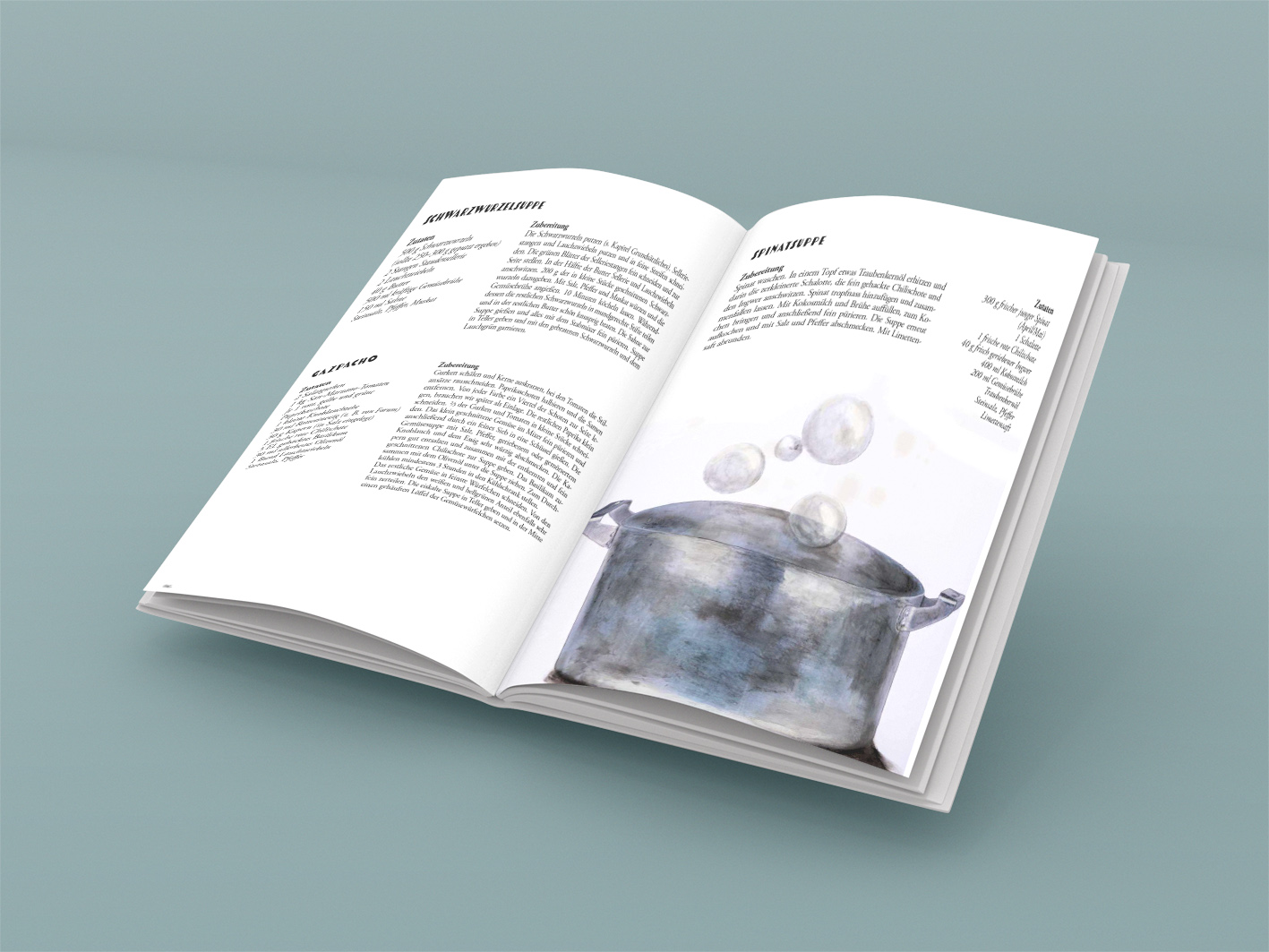 SATT Das zweite Kochbuch Detlef Kellermann