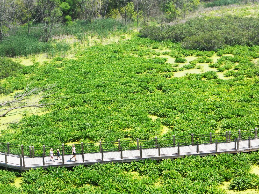 Warren Dunes Vacation 2019