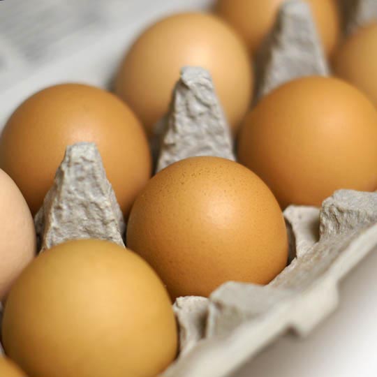 Food For Thought Why You Should Eat The Whole Egg Detoxinista