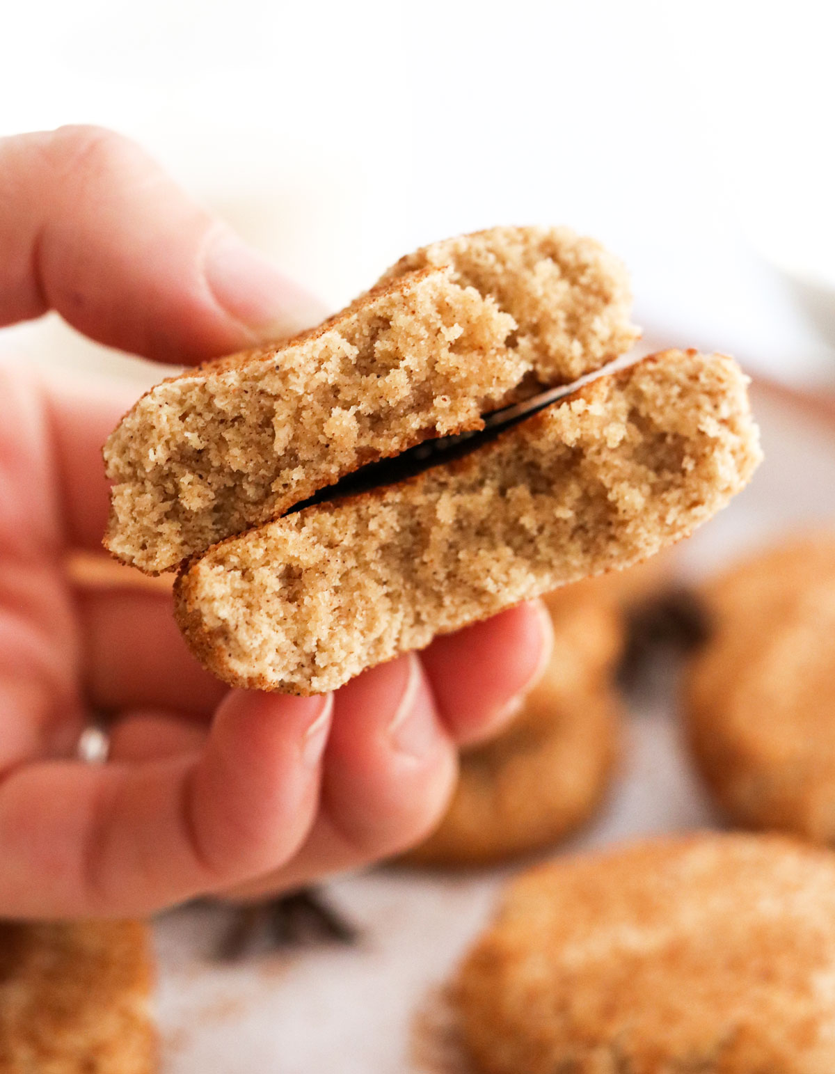 Almond Flour Snickerdoodles (GlutenFree!) Detoxinista Afghanistan Help