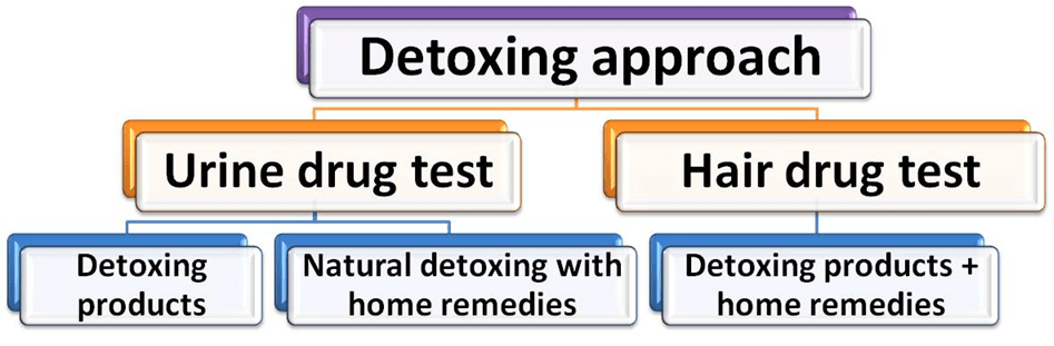 Detox Marijuana Which Approach is Best for You in 2021?