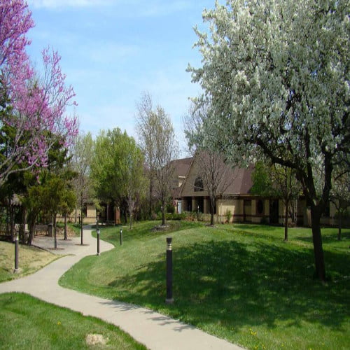 Prairie View Detox To Rehab