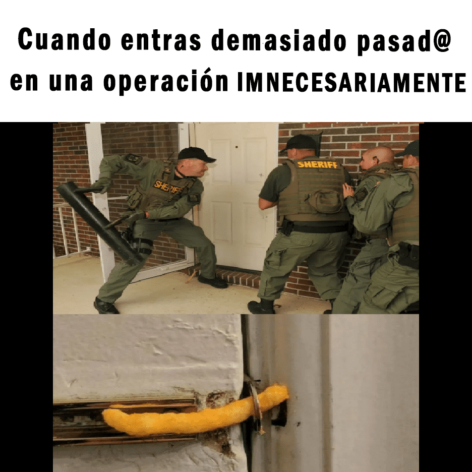 Mejores MEMES de Trading. Diviértete y aprende!! DTrading