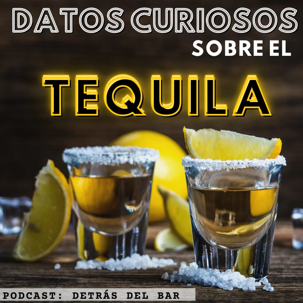 DATOS CURIOSOS sobre el TEQUILA Detrás del Bar
