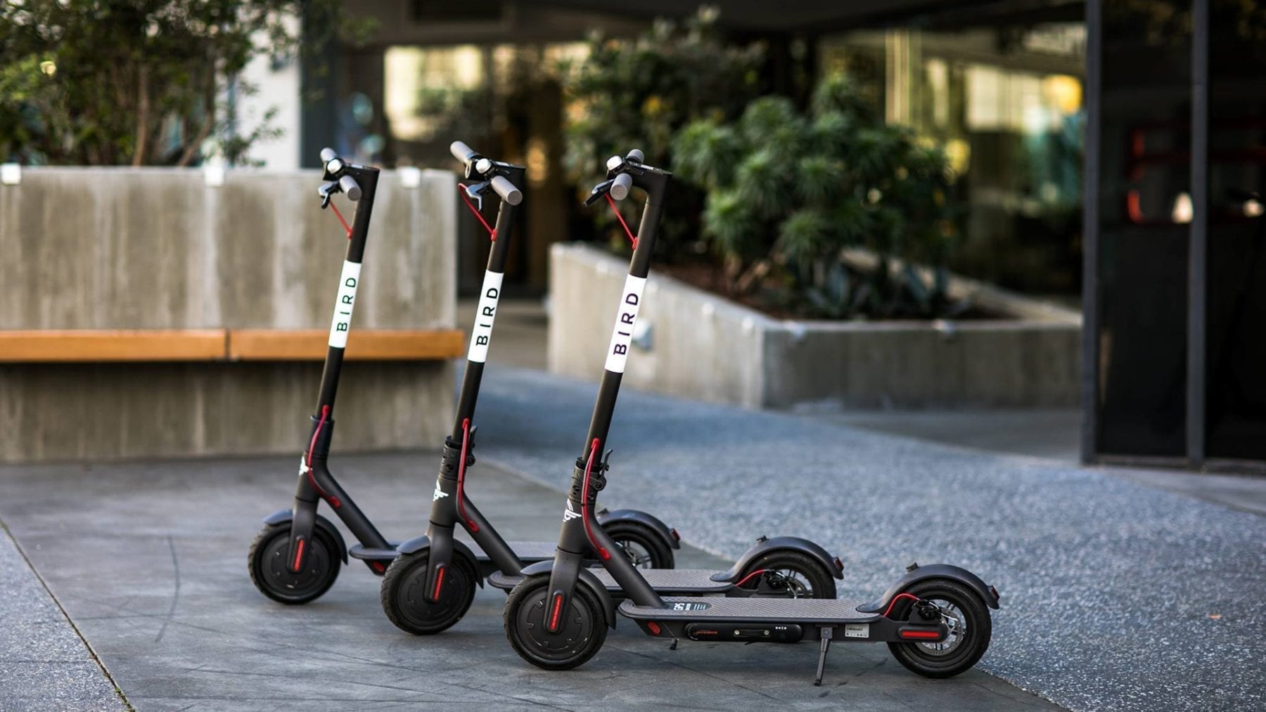 Electric Scooter Rentals Arrive in Detroit Detroit On Tap