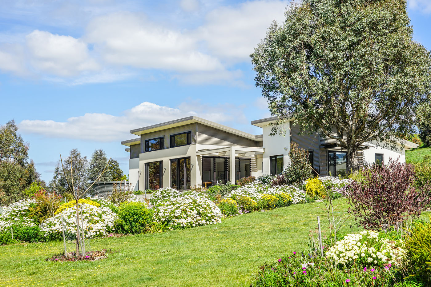 Riddells Creek Dettmann Homes