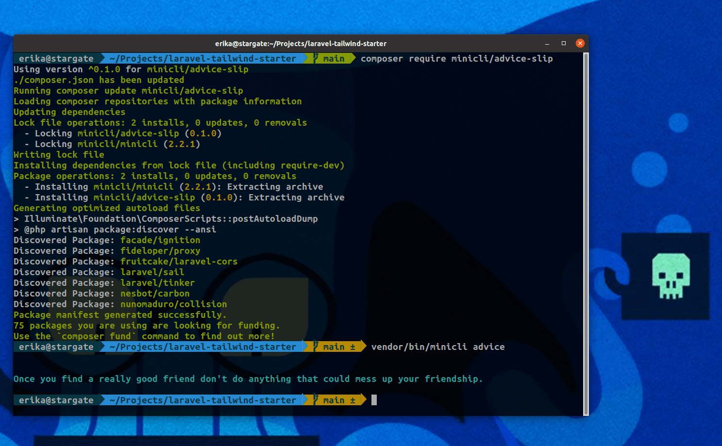 How To Create a Composer Bin Command with Minicli EHeidi.dev